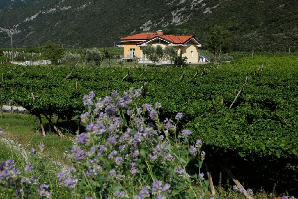 Appartamenti Al Vigneto 드로네로 외부 사진